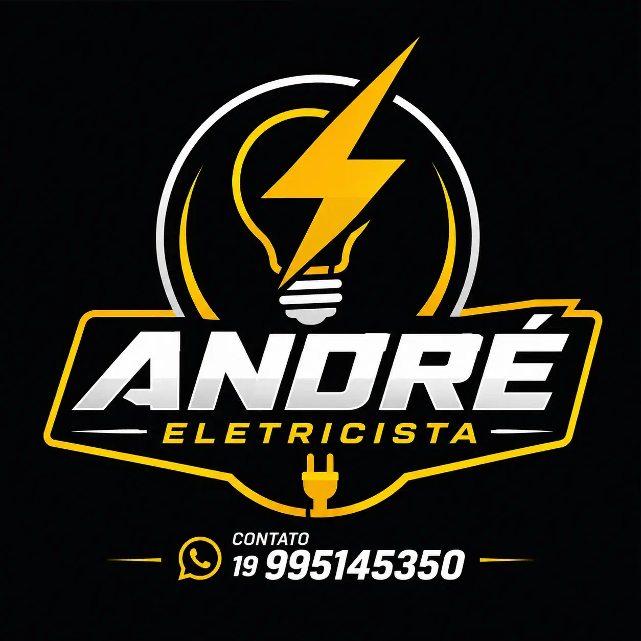 André Luiz Euflausino